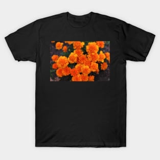 Mexican marigold flower T-Shirt